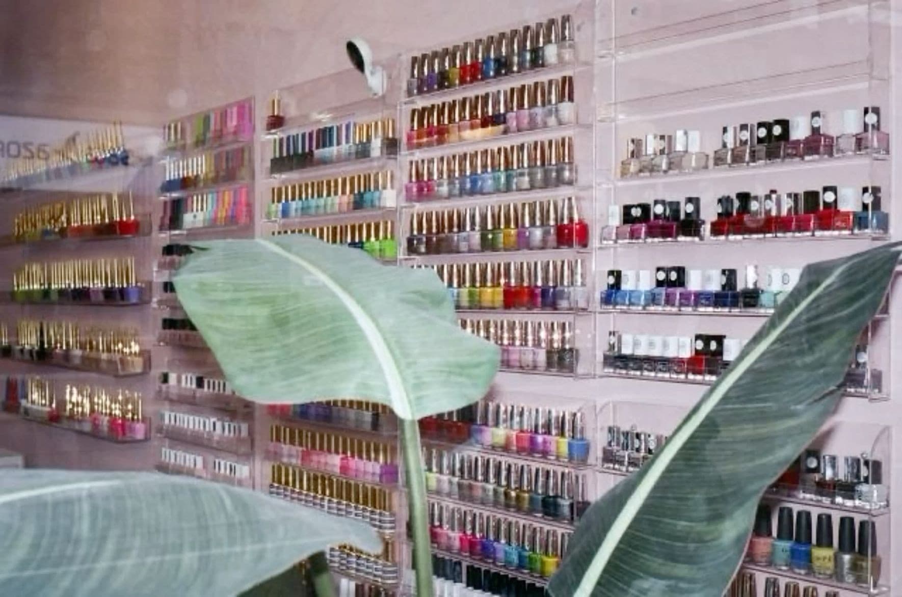 Colección de esmaltes de uñas premium en Pretty Nails